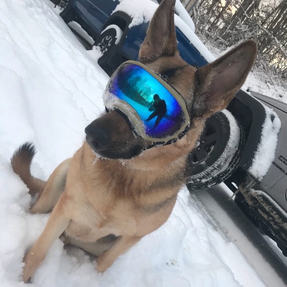 Meet your Posher, Michelle - Picture 2 of 5